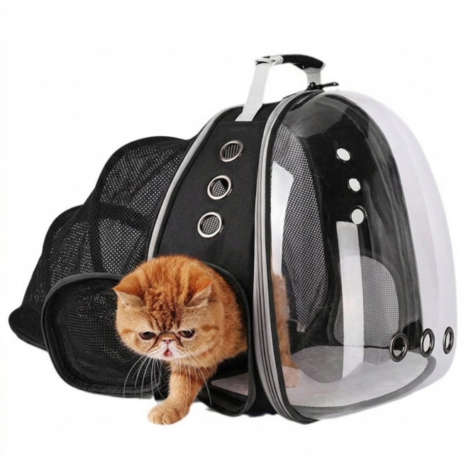 강아지 고양이 이동가방 투명 우주선 백팩 확장형 반려동물 외출가방 애견 이동장, 1개, 블랙