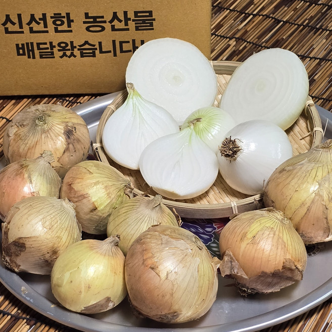 국내산 햇 양파 무안 양파 산지직송, 중, 1개, 10kg