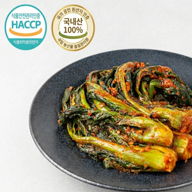 여수 돌산 인증 갓김치 국내산100% 산지배송, 1박스, 3kg