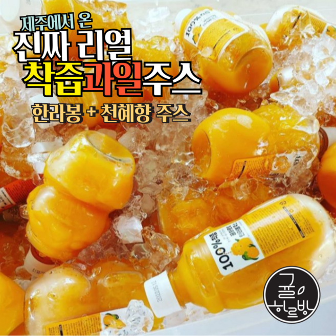 귤하르방 제주 한라봉주스 3병+천혜향주스 3병 (총 6병) 비가열 NFC 착즙주스, 320ml