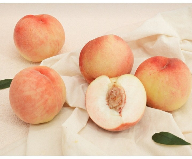 싱싱푸드 산지직송 맛있는 털 복숭아, 1개, 4kg