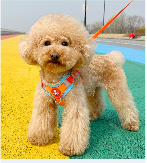 금우상사 강아지 야간빛 하네스 + LED 자동리드줄 세트, XS, 오렌지, 1개
