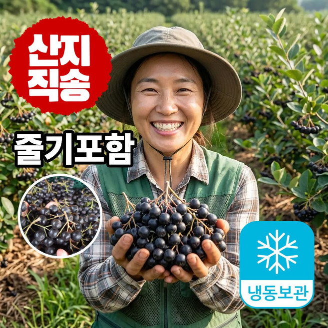 더맛곳간 국내산 고창 생 아로니아 국산 생과 시즌 종료 시 냉동 발송, 1개, 상품 5kg