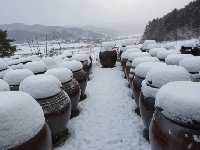 전통방식으로 2년이상 숙성된 맛있는 된장 900g 20여년 전통 지리산 함양 용추골, 1개