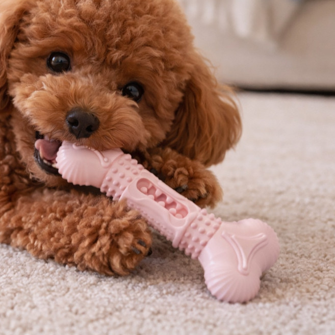 모디홈 강아지 이갈이 장난감 뼈다귀 스틱, 1개, 블러쉬핑크