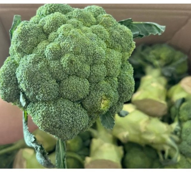 아삭한 식감과 깔끔한 풍미 국내산 브로콜리, 1박스, 2kg