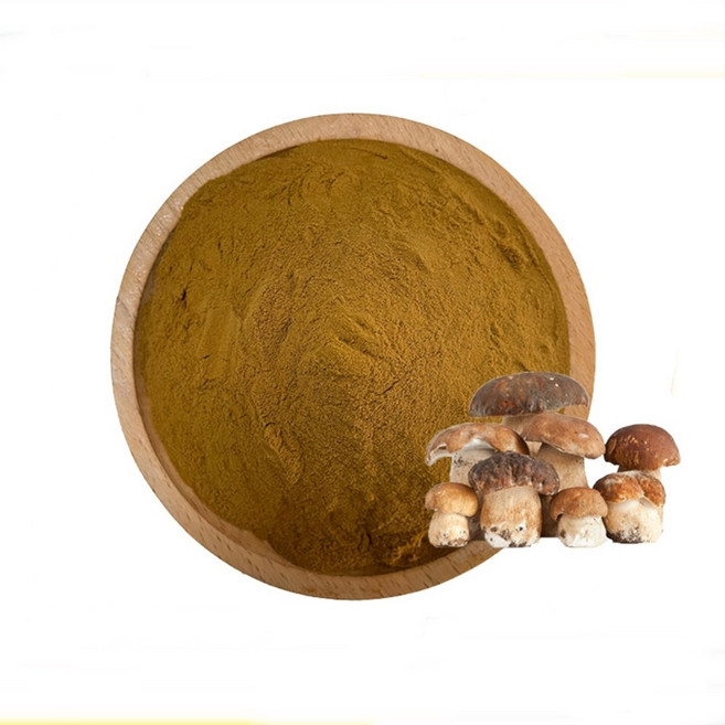 버섯혼합추출분말 1kg, 1개
