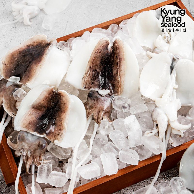 국내산 손질 갑오징어, 1개, 2kg(12~14미내외)