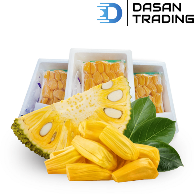 씨없는 냉동 잭프루트 (Seedless frozen jackfruit), 1개, 1.5kg