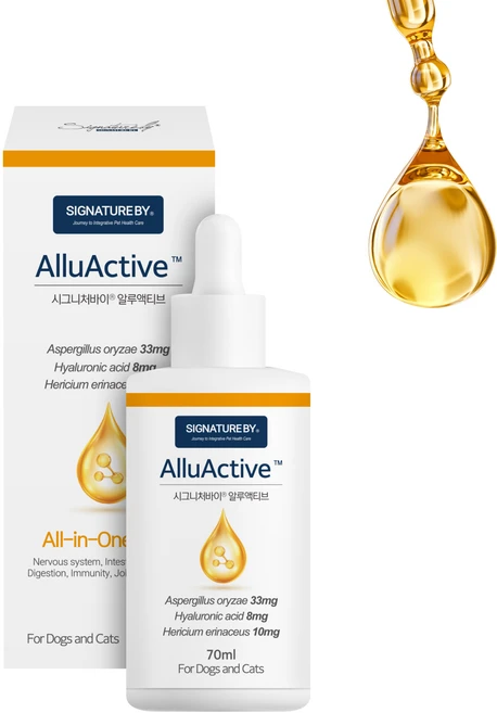 [사은품증정]시그니처바이 알루액티브 노령견 노령묘 올인원 종합영양제 소화개선 관절보호 뇌신경 면역보조제, 1개, 시니어, 70ml - 쿠팡