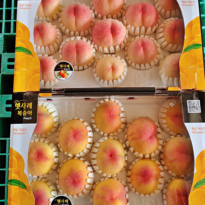 [산지직송] 특상품 고당도 장호원 햇사레 말랑이 딱딱이 황도 백도 햇 털 복숭아 3kg, 1박스, 말랑이 황도 특대과