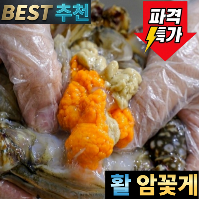[재구매1위] 활 암꽃게 연평도 특A급 알배기 제철 게장용 생물 꽃게 산지직송, 1박스, 1kg(3~5미)