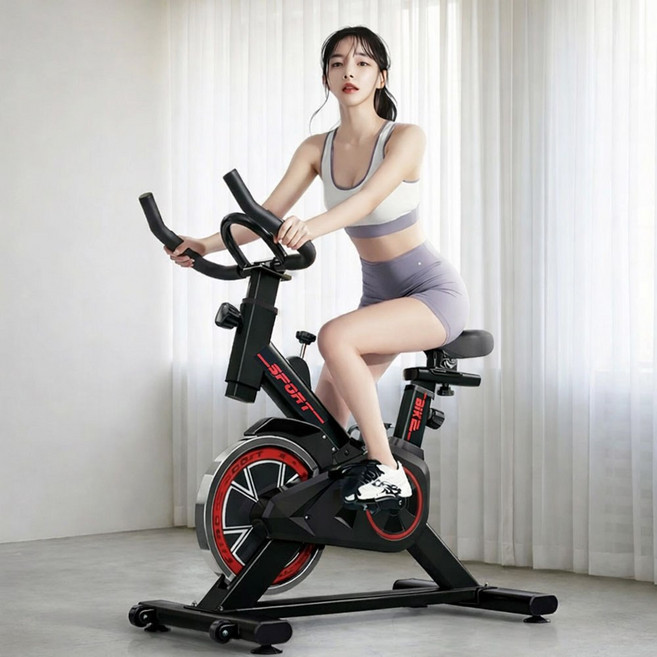 가정용 저소음 실내 자전거 홈트 피트니스 유산소 스피닝 바이크, 블랙