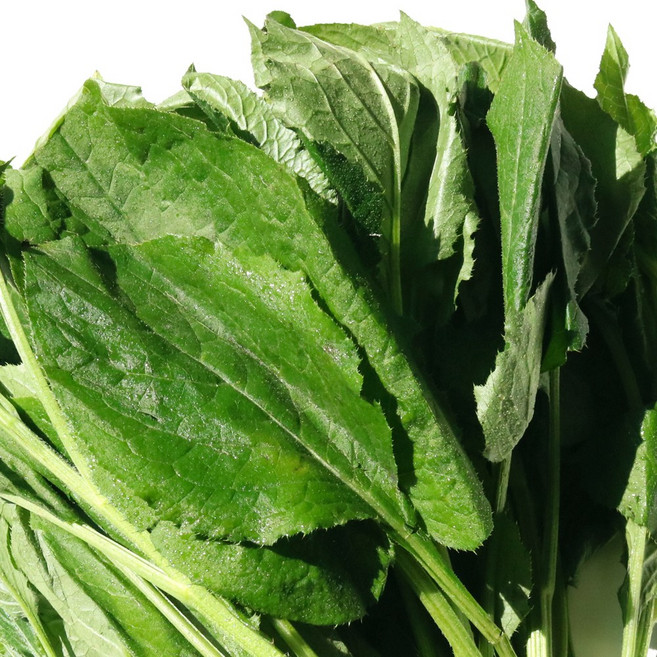 국내산 생 곤드레 곤드레나물 봄나물, 2kg, 1개