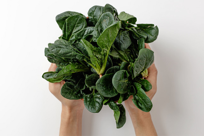 호야마트 유기농 시금치 국내산 신선 채소 산지직송, 1박스, 500g