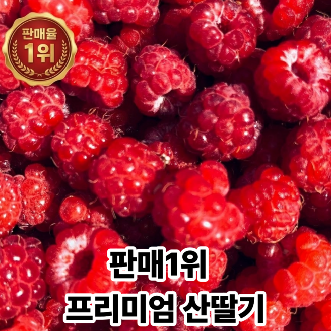 [판매율1위] 당일수확 농장직송 프리미엄 산딸기, 1개, 500g