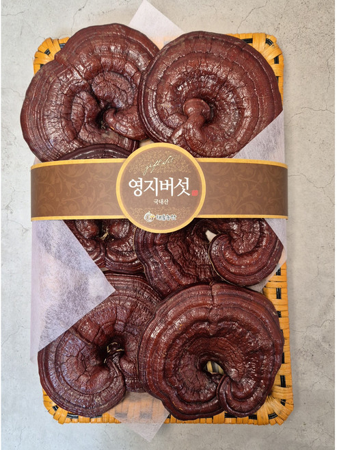 [채울농산] 국산100% 영지버섯 (고급특품-선물용) 500g, 1개