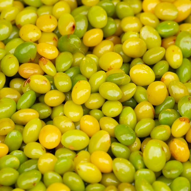 냉동은행 깐은행 누드은행, 자연미가 냉동 껍질깐 은행 500gx1팩, 1개, 500g