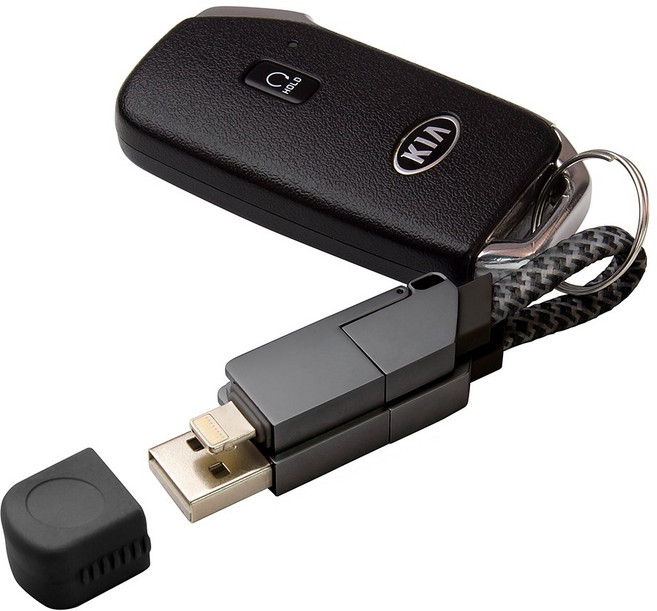 캔모어 휴대용 6in1 멀티 PD 숏 케이블 8핀 USB 5핀 C타입 데이터 고속충전, 1개, 블랙, 15.5cm