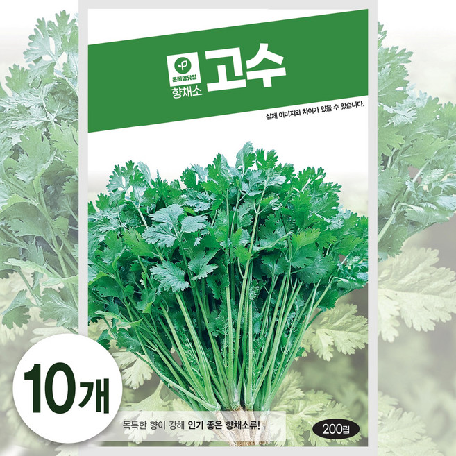 온세상 고수 200립, 10개