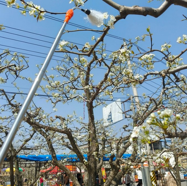 브리코트 / 꽃가루 수분 스틱, 1개, 수분 도구 폴 2.3미터 털 1개