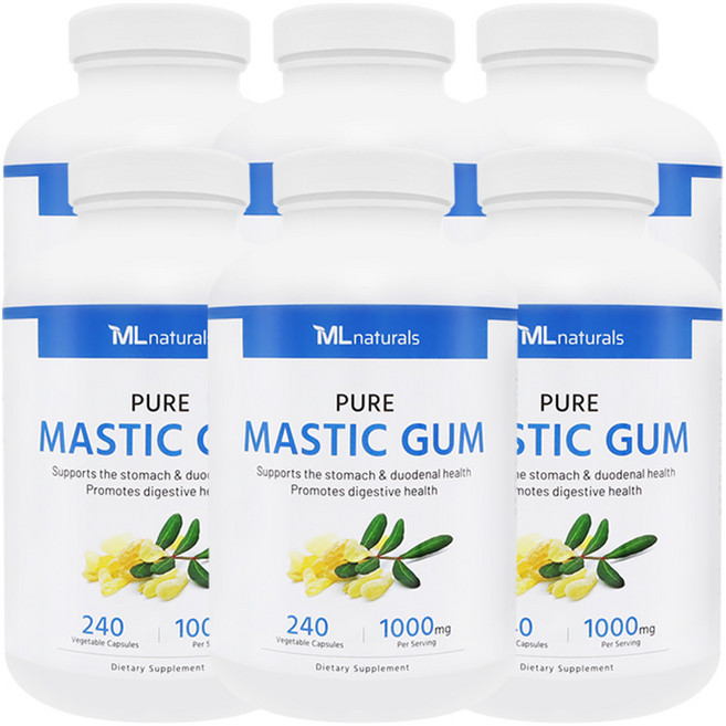 마이라이프 내추럴스 매스틱검 1000mg, 240정, 6개