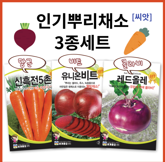 [주주씨앗] 뿌리채소 씨앗 3종세트 당근 비트 콜라비 종자 씨, 1개