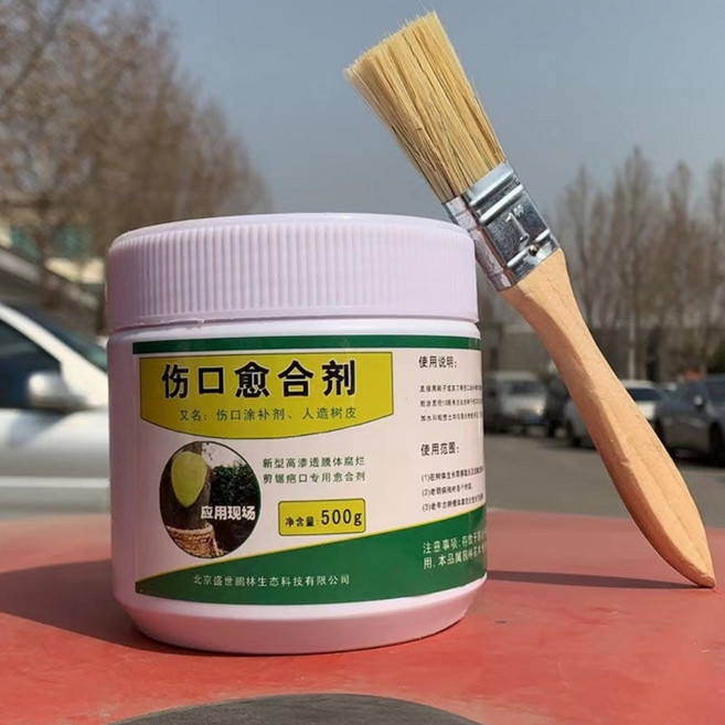 나무 상처 치료제 수목 연고 도포제 보호제 식물 접목 코팅제 분재 가지치기, 02. 힐링제 500g+브러쉬