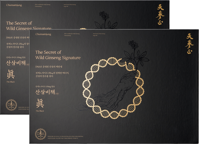 고농축 산삼진액 천삼정 산삼비책진 더 블랙, 2박스, 600ml