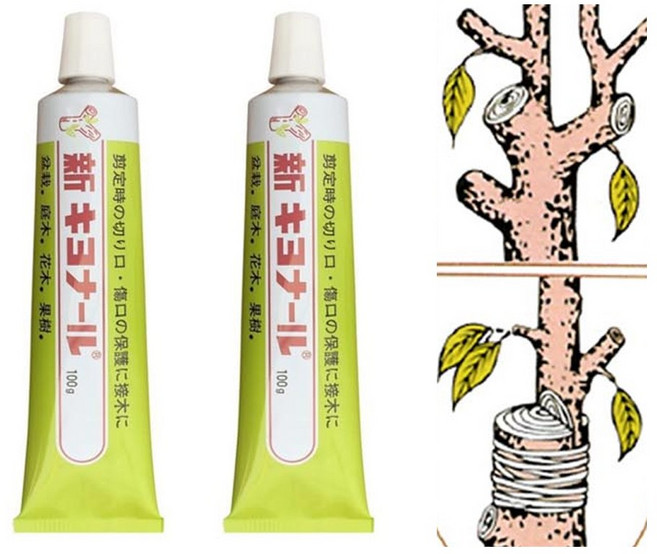 신기요나루 나무 식물 보호제 일본 수목 접목 상처 도포제, 2개