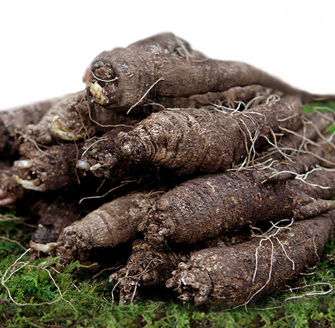 후금이네 국산 100% 향이진한 참 더덕, 1개, 더덕 특대 1kg