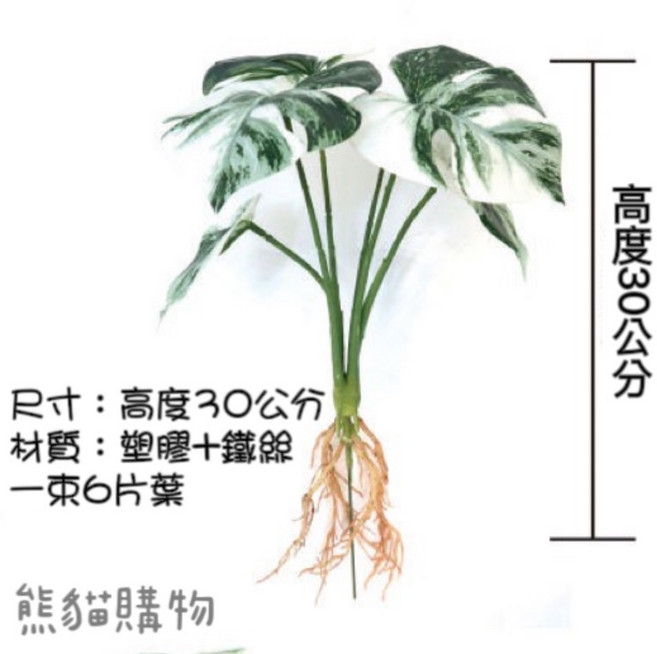仿真斑葉龜背芋 白斑龜背芋, 1個, 6片葉
