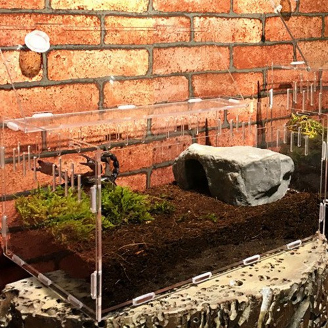 코코넛 조립식 아크릴 사육장 파충류 사육장 대 1개