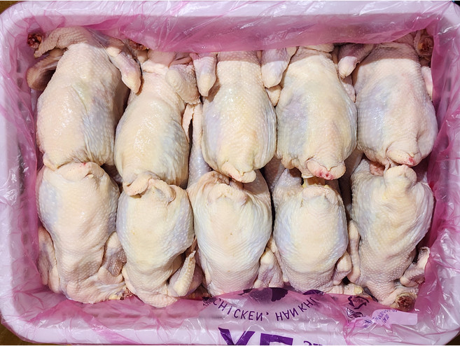 싱그린에프에스 국내산 생닭 성계 노계 1.4키로 10마리 백숙용 냉동(벌크) [원산지:국산], 10개, 1.4kg