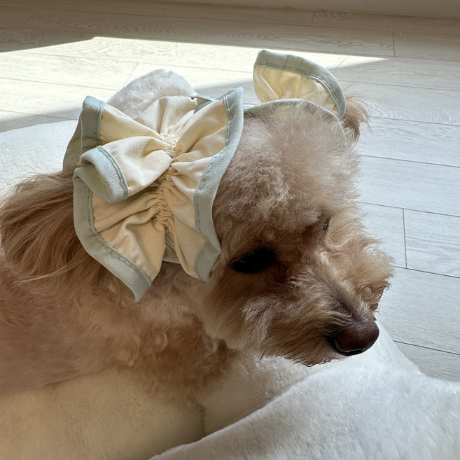 스카이몰 강아지 이어슈슈, 1개, 라인민트