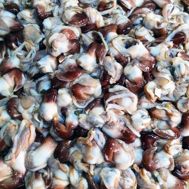 [산지직송] 여수 최상품 손질새조개 실중량 200g 당일조업 당일손질, 1개