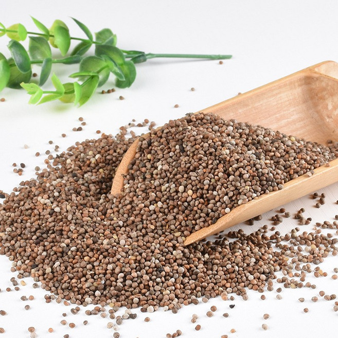 통들깨 볶음 통들깨, 1개, 1000g