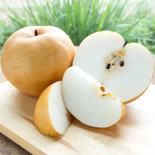 당도선별 나주배 산지직송 가정용 선물용, 1개, 5kg(8~10과)