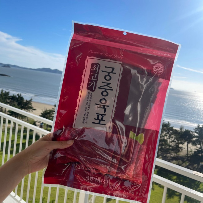초이스건어물 궁중 육포 900g, 1개