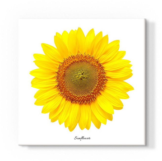 더 아트 컴퍼니 돈 들어오는 풍수 두꺼비집 가리개 30종 배전함 차단기 해바라기 사과 코끼리 자작나무 돈나무 커버 현관 그림 액자 인테리어, 1. 해바라기