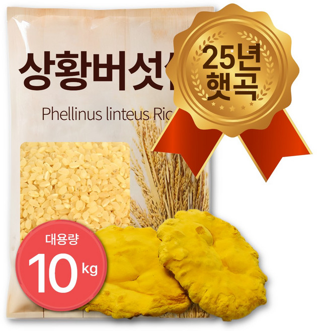 25년 햅쌀 100% 국산 상황버섯쌀 면역관리 베타글루칸 폴리페놀, 2개, 5kg