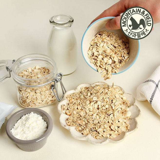 산과들에 하루한줌 오트밀, 하루한줌오트밀*100봉, 20g, 100개