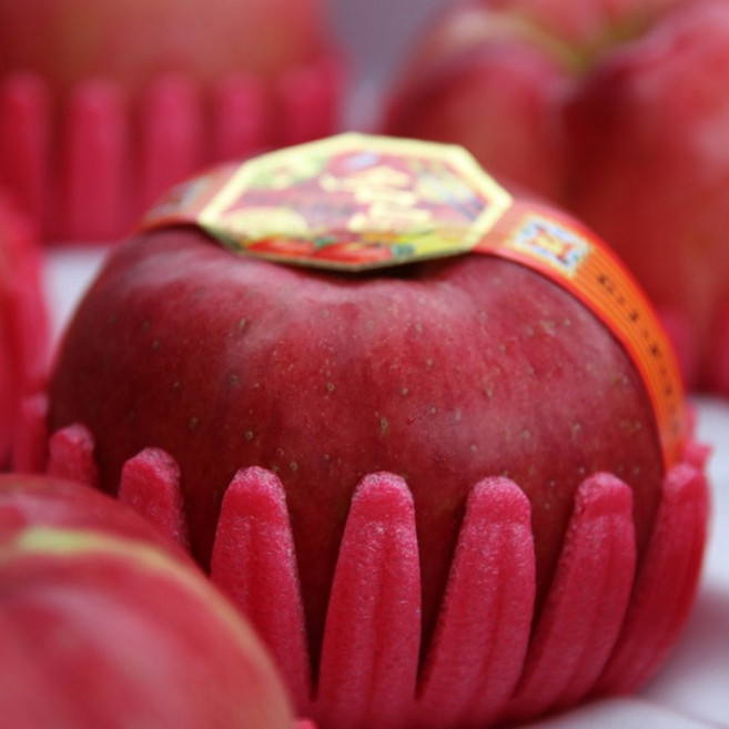 안동댁 부사 사과 선물세트 / 정품 / 가정용 흠과 명품 유명한곳 백화점 혼합 과일 사과 배 프리미엄 제수용 흠사과 선물용 꿀 낙과 보조개 쥬스용 주스용 못난이 흠집 경북 안동 설, 1박스, 07.사과선물세트(보자기포함)5kg대과(14~16과)