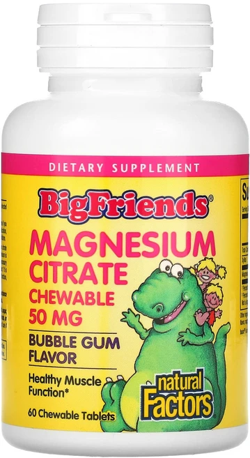 Natural Factors Big Friends 마그네슘시트레이트 풍선껌 맛 50mg 츄어블 60정, NaturalFactorsBigFriends마그네슘시트, 1개 - 쿠팡
