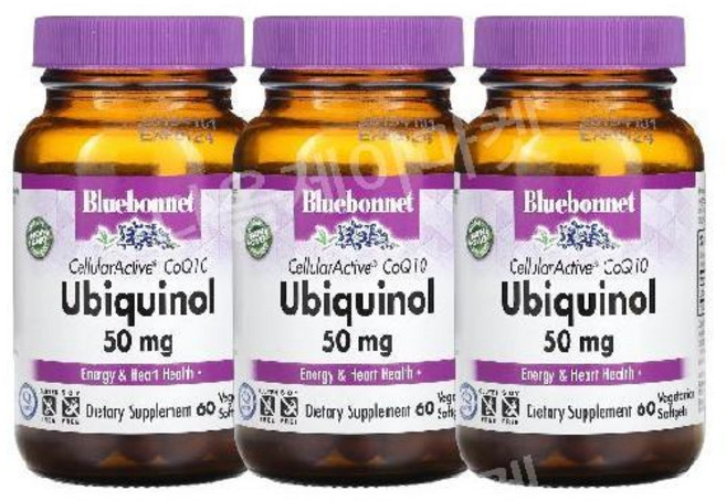 3개 블루보넷 CoQ10 유비퀴놀코큐텐 코엔자임큐텐 코엔자임Q10 Ubiquinol 50mg 60정