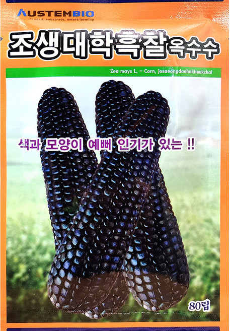 조생대학흑찰옥수수 80립 오스템 25년 옥수수씨앗, 1개