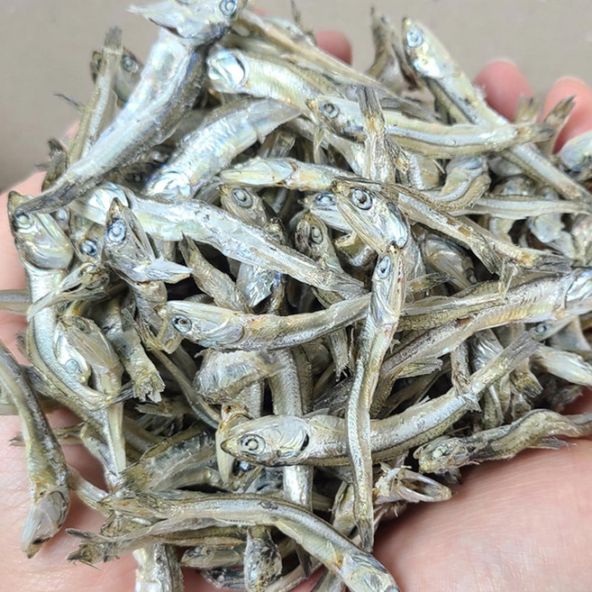 고추장 찍어먹는 상급 햇 남해안 고바 멸치, 3개, 110g