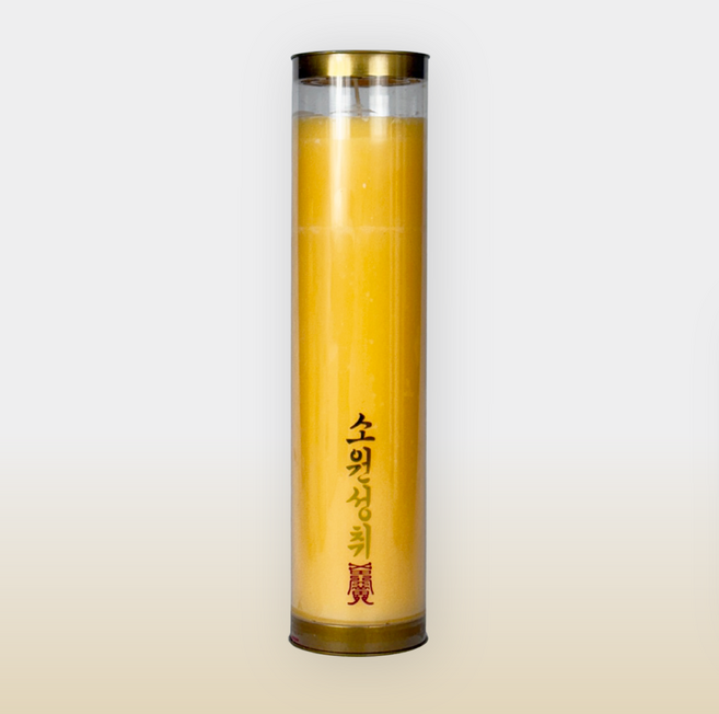 엘캔들 보리심 식물성 팜통초 골드(대), 20개