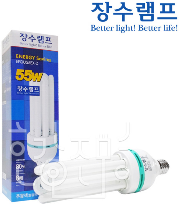 블루밍 EL 삼파장전구 55W E26, 주광색, 1개