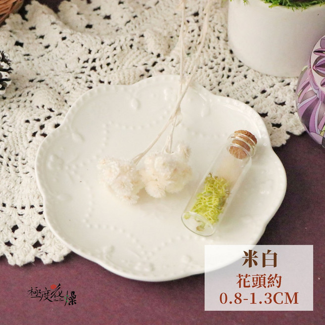 極度花燥 義大利進口 乾燥蠟菊 花材, 蠟菊原裝包,米白,原裝包約40g